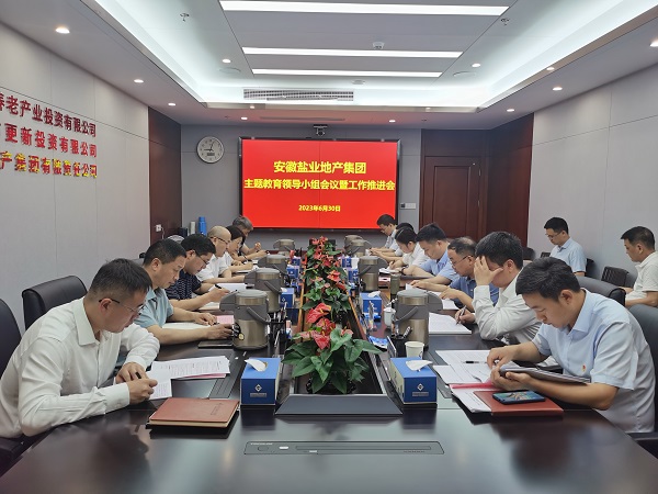 安徽鹽業(yè)地產(chǎn)集團(tuán)召開學(xué)習(xí)貫徹習(xí)近平新時代中國特色社會主義思想主題教育領(lǐng)導(dǎo)小組會議暨工作推進(jìn)會